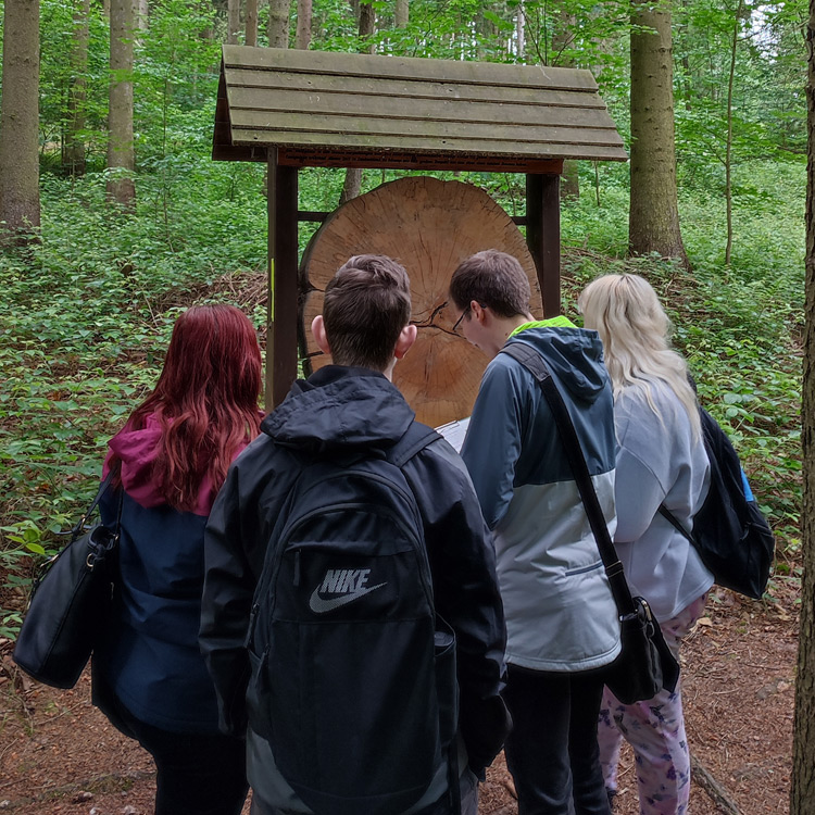 Projekttag - meine Heimat